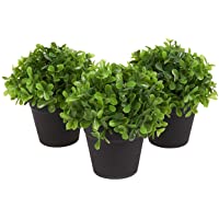 Juvale Planta Artificial decoración (Juego de 3) - casa de Las Plantas Artificiales de Interior decoración - 5 x 5-2 x 5…